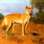 Image: huntersaus Image: huntersaus