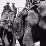 When the Circus Came to Town, and Leapt from the Screen When the Circus Came to Town, and Leapt from the Screen